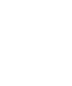 leader